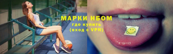 сатива Новодвинск