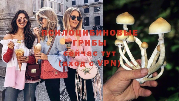 mix Няндома