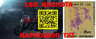 крисы Балахна