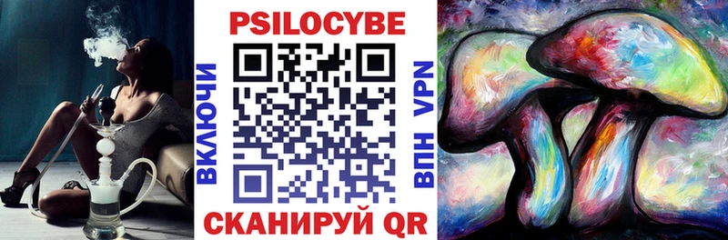 Псилоцибиновые грибы мицелий  блэк спрут tor  Торжок 