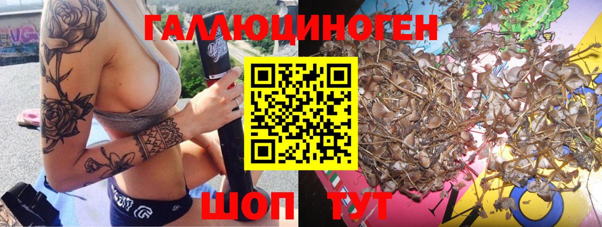 Псилоцибиновые грибы прущие грибы  Галлюциногенные грибы мухоморы  Торжок 