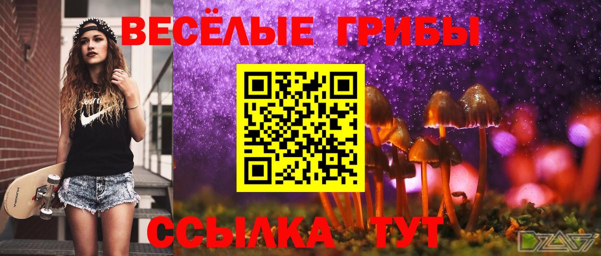 APVP СК кристаллы  Канабис  Меф кристаллы  COCAIN  Метамфетамин  Торжок  ЭКСТАЗИ  КОКАИН  Конопля  Купить наркотики 