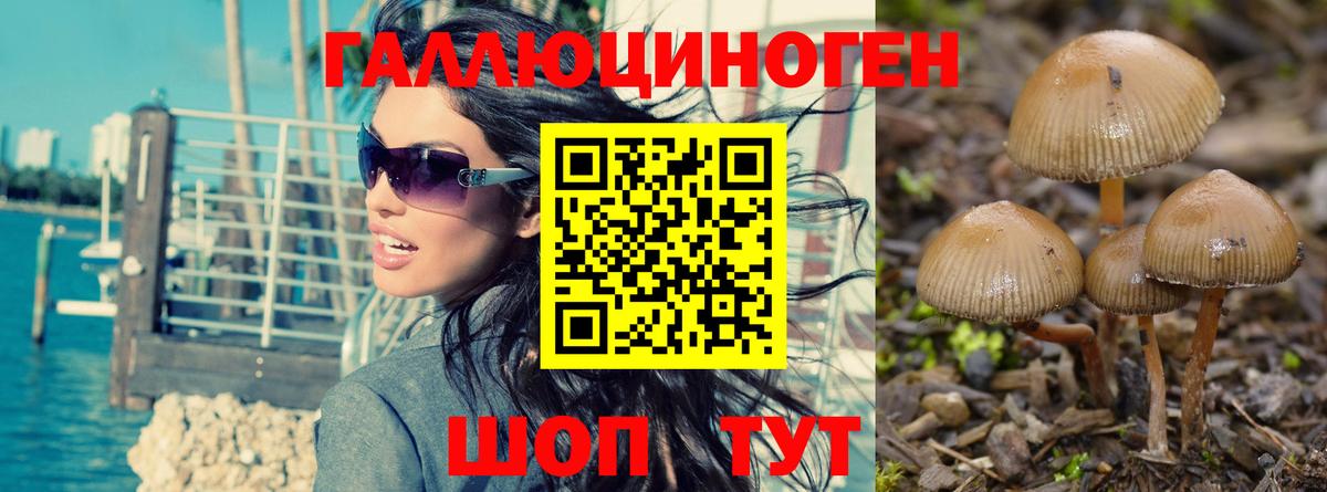Псилоцибиновые грибы GOLDEN TEACHER  Вход с VPN  Торжок 