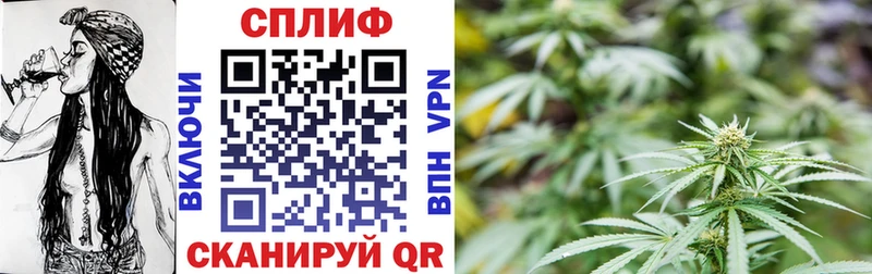 Бошки Шишки THC 21%  Торжок 
